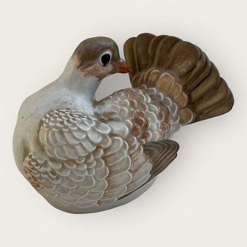 Royal Copenhagen
Galapagos pigeon
#475/ 2952
*DKK 475