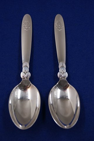 Cactus solid silver ...
