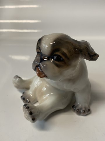 item no: 617422