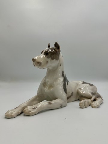 main