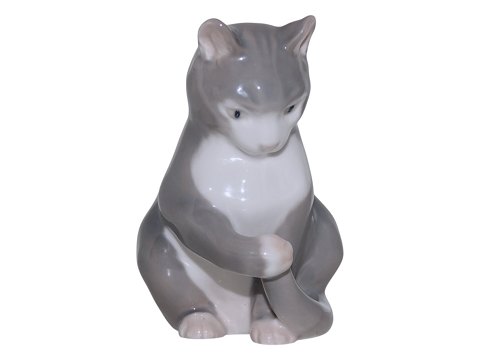 item no: 646937