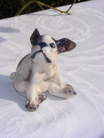 Dahl Jensen porcelain figurine 1098 French Bulldog