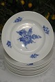 Royal Copenhagen Blaue Blume glatt  Teller 8096