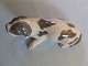 Royal Copenhagen Figurine Bassett Puppy No 1204