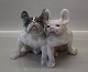 Royal Copenhagen figurine 
0957-1452 RC French Bulldogs Pair Designed by Knud Kyhn 1908 15 x 21 cm