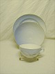 item no:
19022 item no:
19022