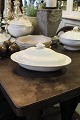 Fine, old French oval covered dish in 
cream-colored earthenware.