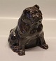 Royal Copenhagen Art Pottery Dog by Knud Kyhn English Bulldog 17 x 14 cm