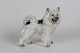 Dahl Jensen figurine
Greenland samoyed dog 
No 1082