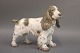 B&G figurine no. 2095 Cocker Spaniel. Design Lauritz Jensen. 5000m2 Showroom.
