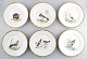 6 B&G, Bing & Grondahl hand painted plates with bird motifs.
