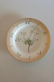 Royal Copenhagen Flora Danica Salat Tallerken No 20/3573