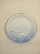 item no:
28126 item no:
28126