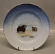025-325 Middagstallerkener   24.5 cm  B&G Grønlandske motiver Kalaallit Nunaanni 
pingortitaq med guldkant