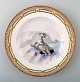 Royal Copenhagen Flora Danica / fauna Danica dinner plate with  motive of a 
polar bear in landscape.