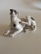 Royal Copenhagen Figurine of Dog Scratching Itself No 1452/2855