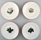 4 antique Royal Copenhagen flat plates in flora danica style.
