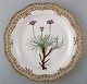 Royal Copenhagen Flora Danica, Round dish or Dinner plate with pierced border.