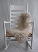 item no:
321570 item no:
321570