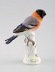 Meissen figure, bird in porcelain.
