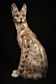 Rare porcelain figure of a Serval from Dahl Jensen - Denmark. (DJ)
Height: 25.5cm.