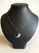 Necklace Gold 14 K with Animal Claw