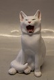 Royal Copenhagen 667 RC Cat yawning EN 1905 17 cm 
