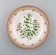 Royal Copenhagen Flora Danica dinner plate # 20/3549.
