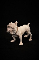 item no: B&G Bulldog 1676