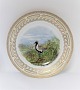 Royal Copenhagen. Fauna Danica. Middags tallerken. Model # 240A - 3549. Diameter 
25 cm. (1 sortering). Charadrius apricarius