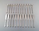 item no:
374691 item no:
374691