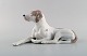 Royal Copenhagen porcelain figurine. Pointer. Model number 1635.
