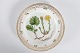 Royal Copenhagen
Flora Danica
Dish 3550
Ø 22,5 cm