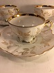 latest
new item latest
new item