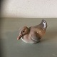 latest
new item latest
new item