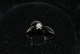 Antik Huset 
presents: 
White Gold 
Ring with 
Brilliant 14 
Carat
Size: 52