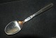 Serving spoon Karina Silver
