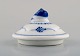item no:
419566 item no:
419566