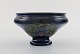 item no:
422400 item no:
422400