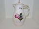 Light Sachian Flower
Chocolate pitcher