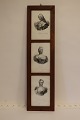 Frame with 3 prints of:
- Frederik d. V
- Louise, Frederik d. V's 1. Gemalinde (consort)
- Juliane Marie, Frederik d. V's 2. Gemalinde 
(consort)
Printed in Em. Bærentzen & Co. Lith. Inst. 
Denmark
About 1900
Frame made of pinewood
H: 82,5cm 
W:21cm