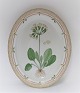 Royal Copenhagen. Flora Danica. Oval dish. Model # 3518. Length 40 cm. (1 
quality). Primula unicolor Nolt