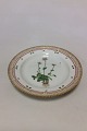 Royal Copenhagen Flora Danica Dinner Plate No 624(3549).