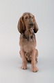 Royal Copenhagen porcelain figurine. Bloodhound. Model number 1322. 1920