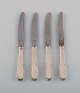 item no:
448333 item no:
448333