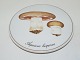 Bing & Grondahl Mushroom Plate
Cultivated Mushroom