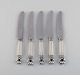 item no:
452583 item no:
452583