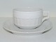 White FanExtra large tea cup