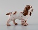 Bing & Grøndahl porcelain figurine. Standing cocker spaniel. Model number 2172. 
Mid 20th century.
