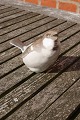 B&G Denmark figurine No 1607, Sparrow